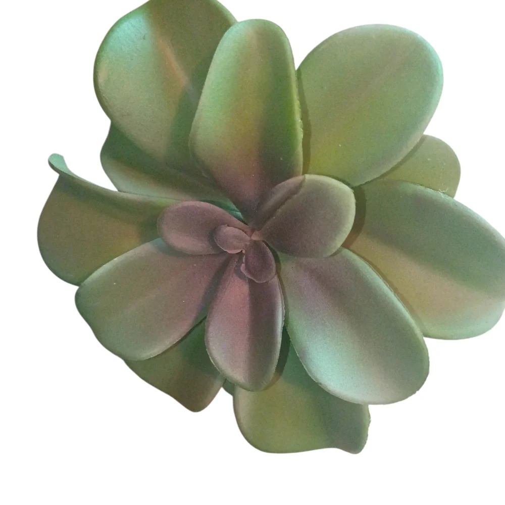 White Elephant Planter with Green Succulent
